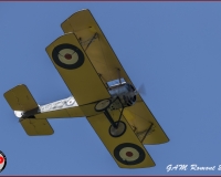 TSR Watermark - 0417